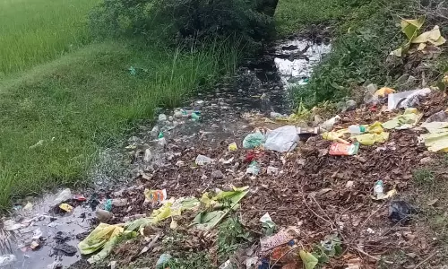 வாய்க்கால் தூர்வாரப்படுமா?