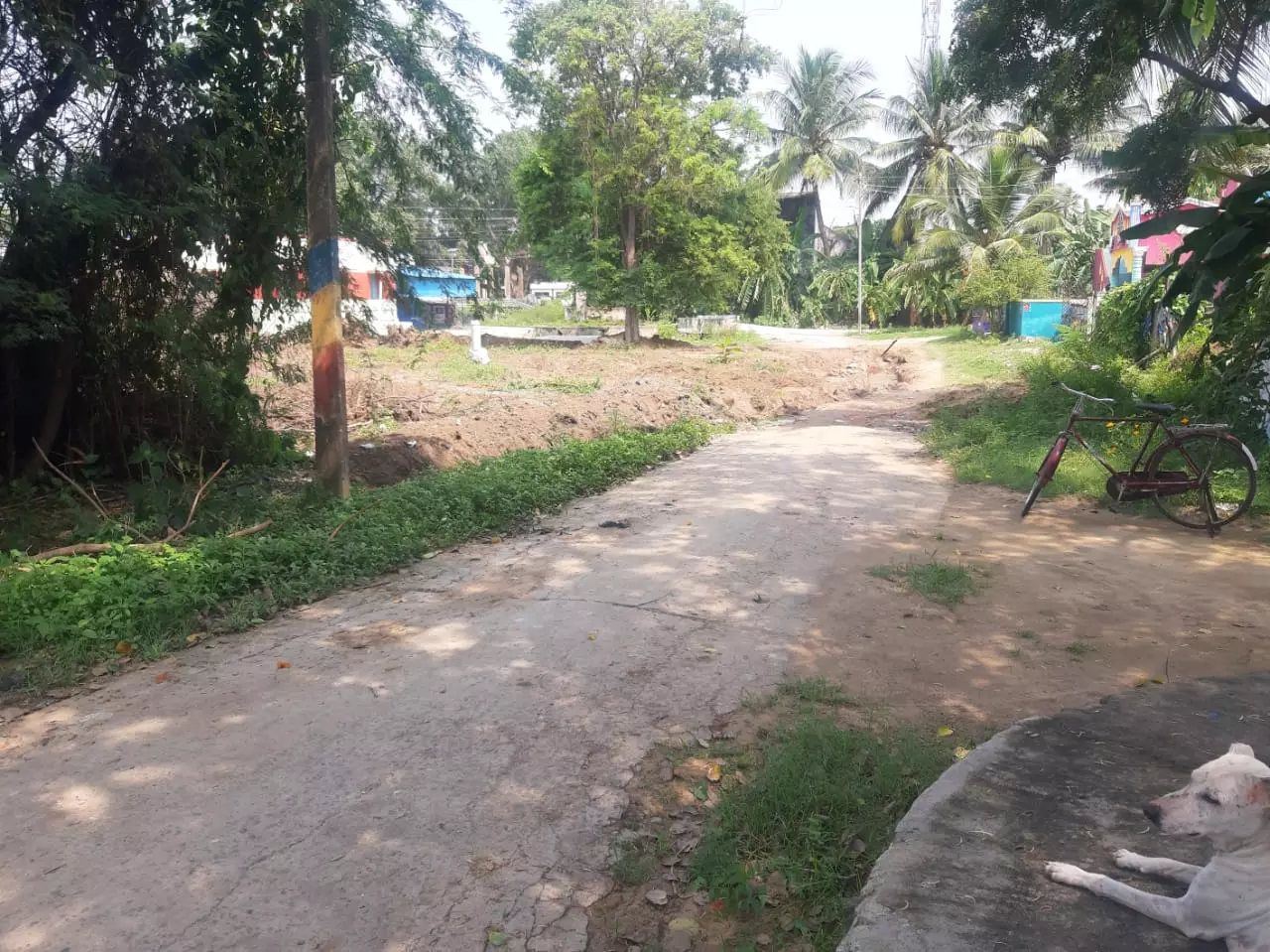 பாதை ஆக்கிரமிப்பு பாதை ஆக்கிரமிப்பு