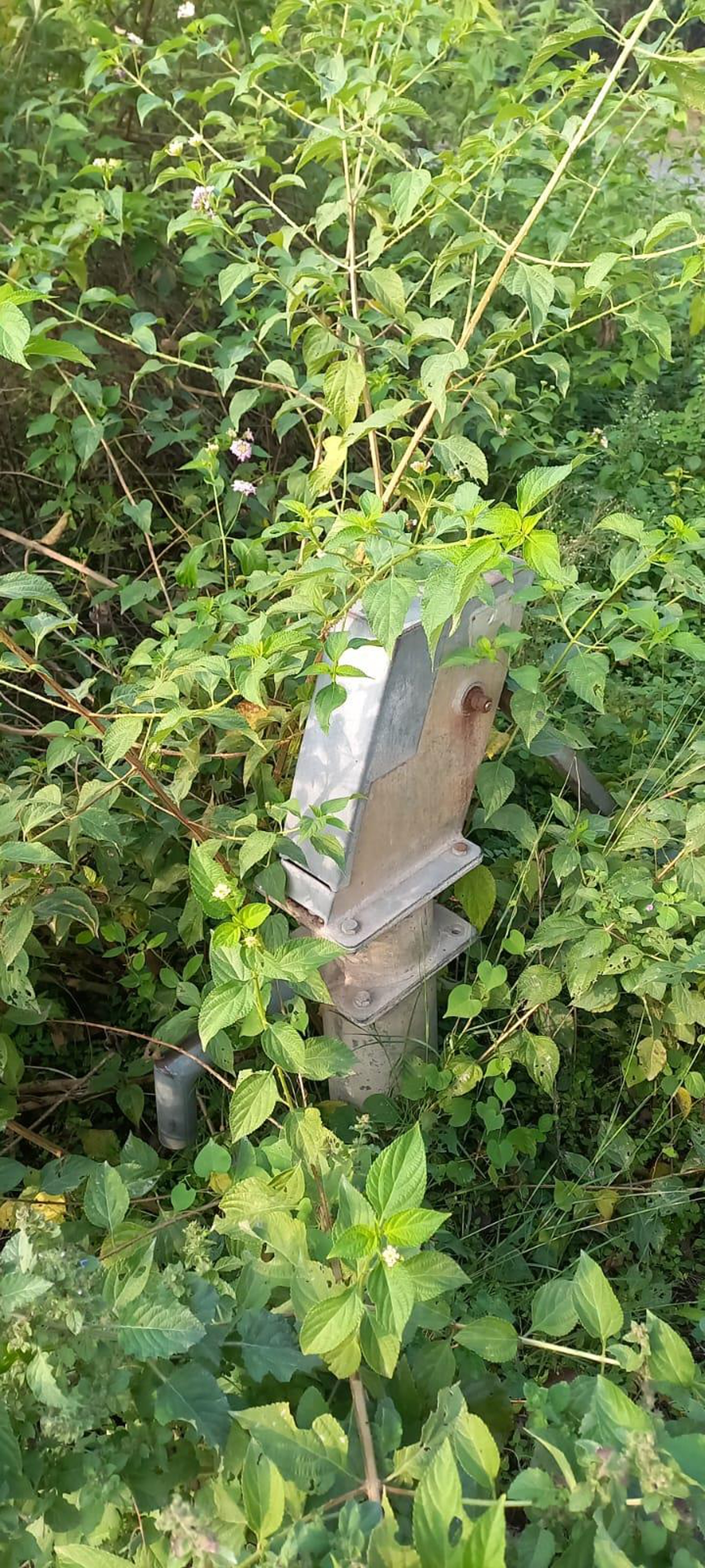 புதருக்கு நடுவே அடிபம்பு