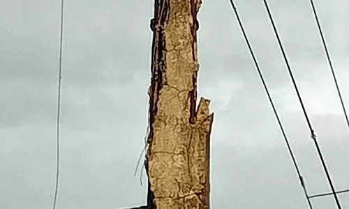 பழுதடைந்த மின் கம்பம்