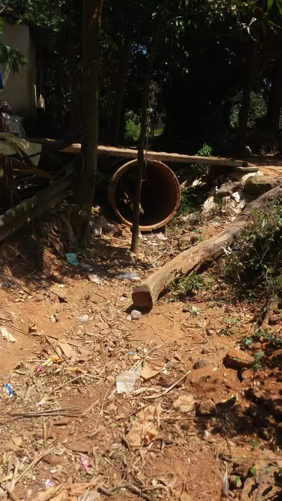 வடிகால் ஆக்கிரமிப்பு வடிகால் ஆக்கிரமிப்பு