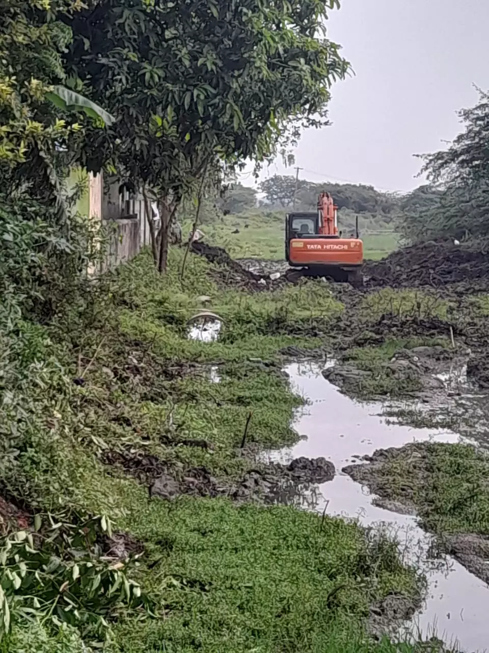 தினத்தந்தி புகார் பெட்டிக்கு நன்றி