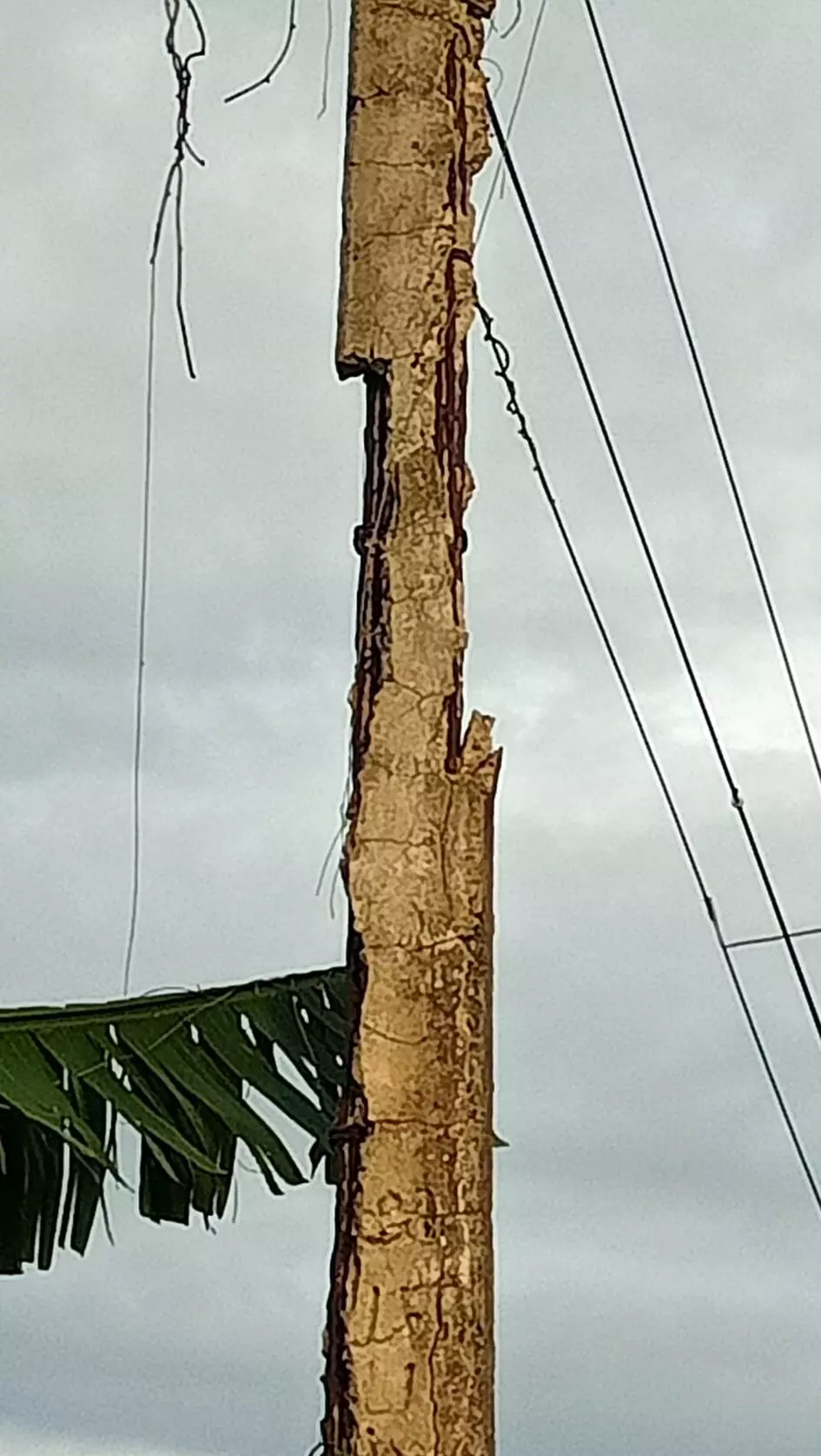 பழுதடைந்த மின் கம்பம்