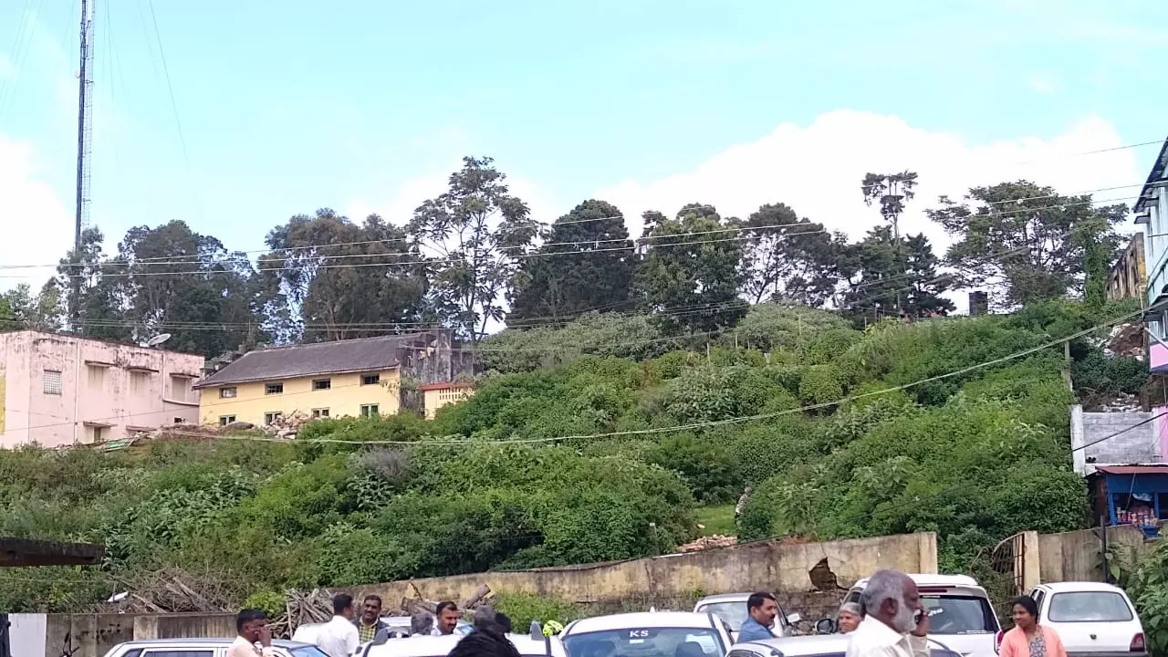 புதர் செடிகள் அகற்றப்படுமா?