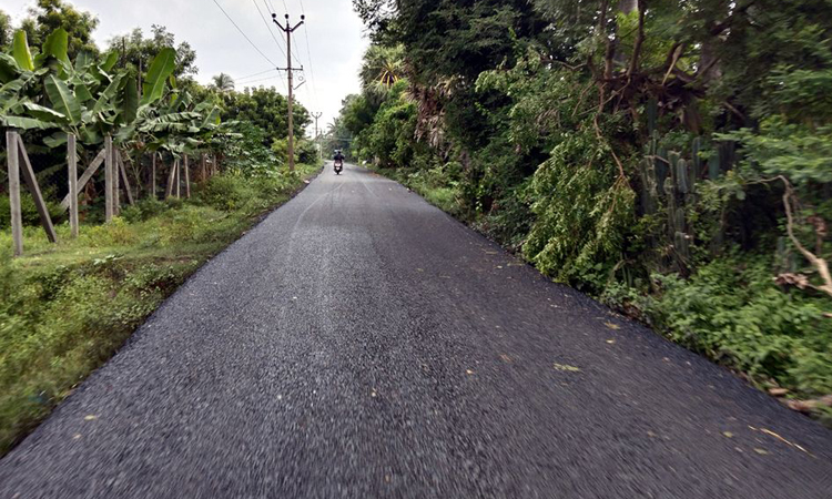 பாராட்டு பாராட்டு