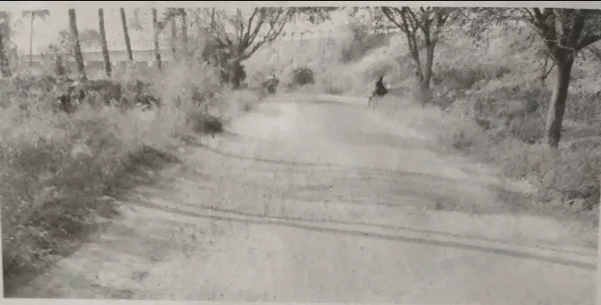 குண்டும், குழியுமான சாலை