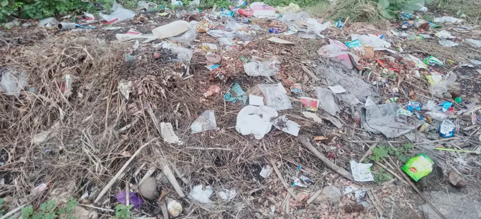 சுகாதாரக்கேடு சுகாதாரக்கேடு