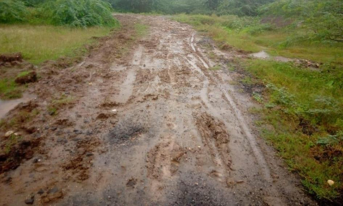 சேறும் சகதியுமான சாலை