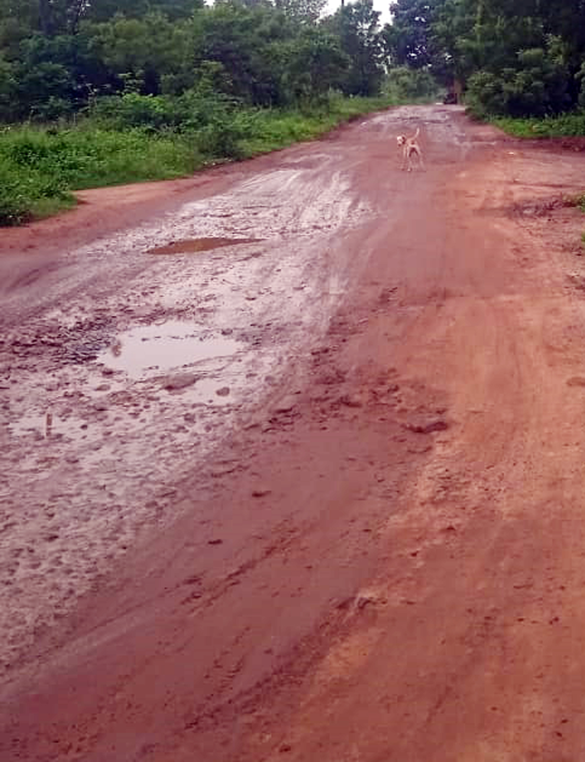 சேறும் சகதியுமான சாலை