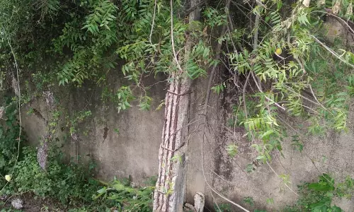 சிதிலமடைந்த கம்பங்கள்