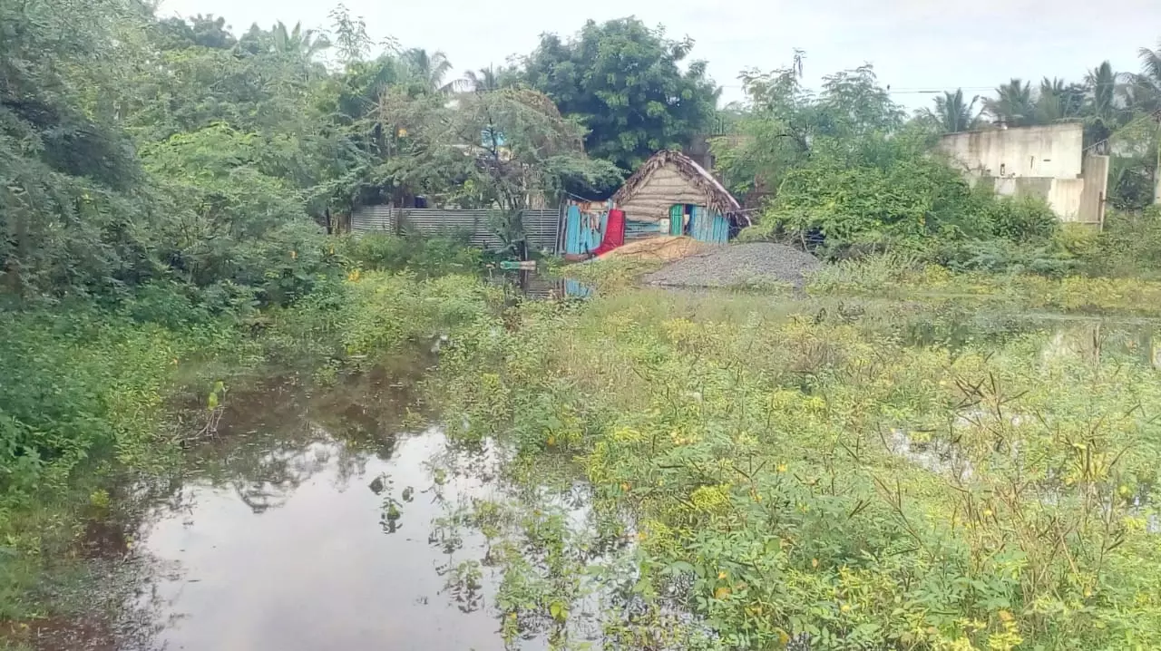 மக்கள் கோரிக்கை