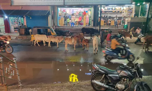 தொடரும் இடையூறுகள் தொடரும் இடையூறுகள்