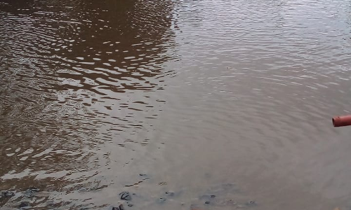 சாலையில் உருவான குளம் சாலையில் உருவான குளம்