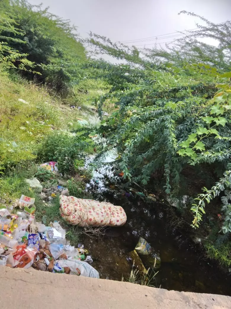 தூர்வாரப்படாத குட்டை தூர்வாரப்படாத குட்டை