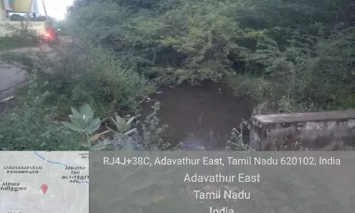 வாய்க்காலை தூர்வார வேண்டும் வாய்க்காலை தூர்வார வேண்டும்