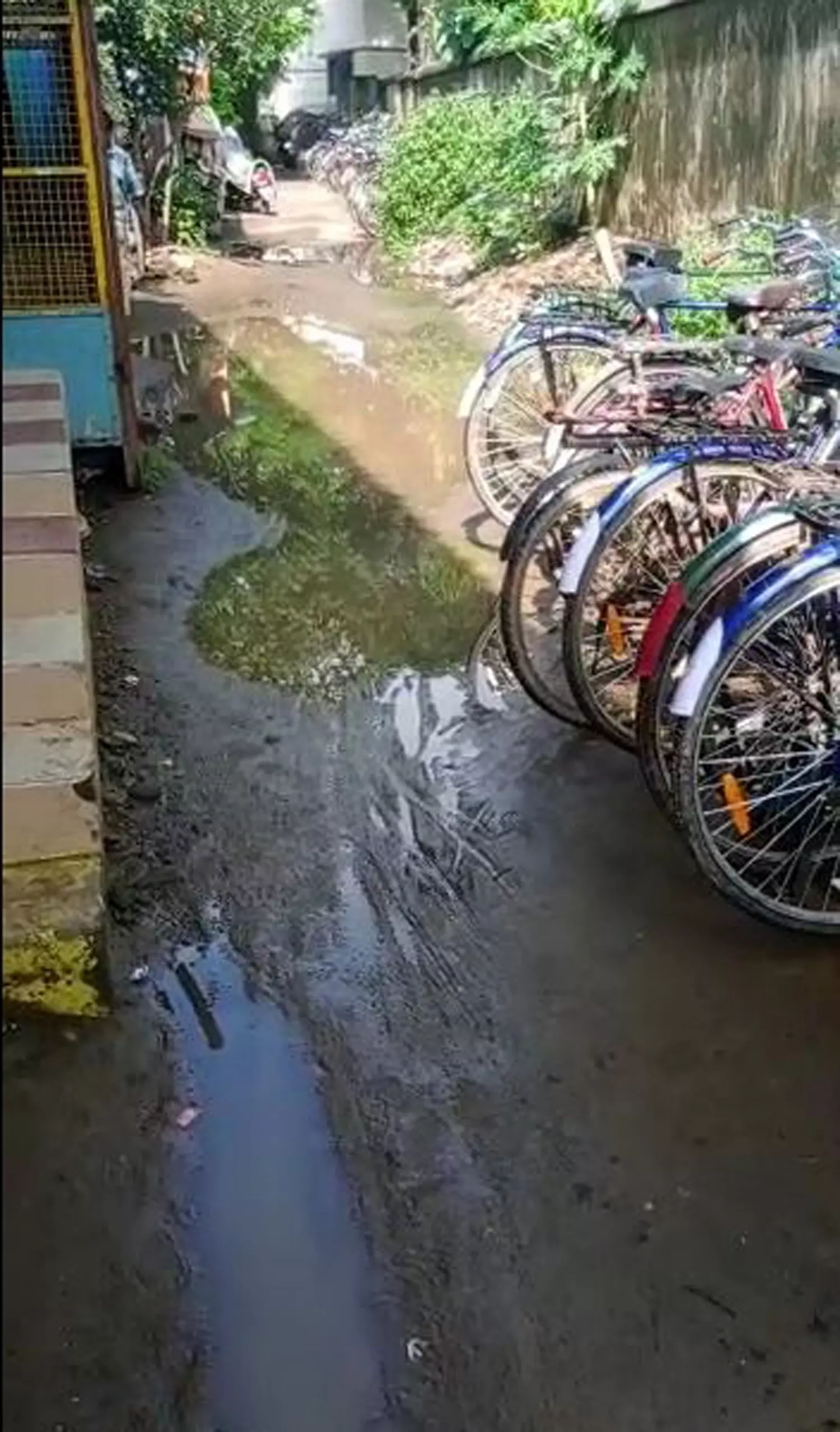 சாலையை சீரமைக்க வேண்டும் சாலையை சீரமைக்க வேண்டும்