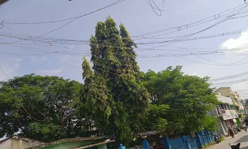 ஆபத்தான மின் கம்பிகள்