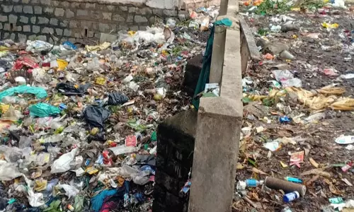 குப்பைகளை கொட்டும் அவலம் குப்பைகளை கொட்டும் அவலம்