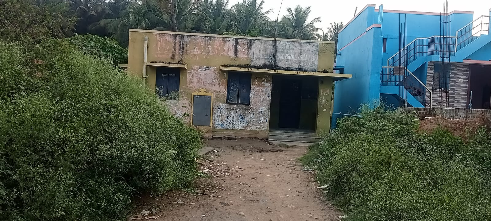 செடி, கொடிகள் அகற்றப்படுமா?