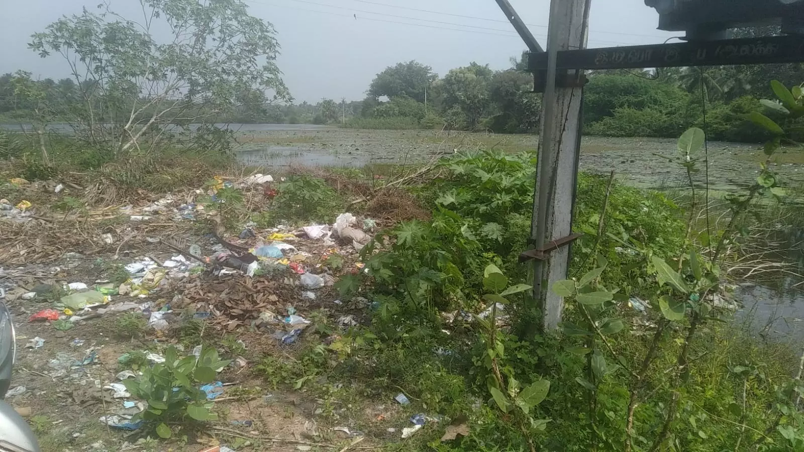 குப்பைகள் அகற்றப்படுமா?