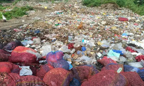 சாலையோரம் கொட்டப்படும் குப்பைகள் சாலையோரம் கொட்டப்படும் குப்பைகள்