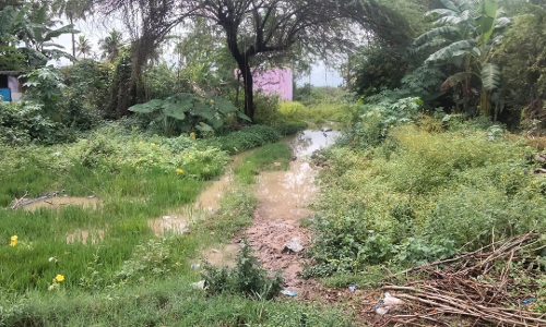 சிமெண்டு சாலை போட வேண்டும்