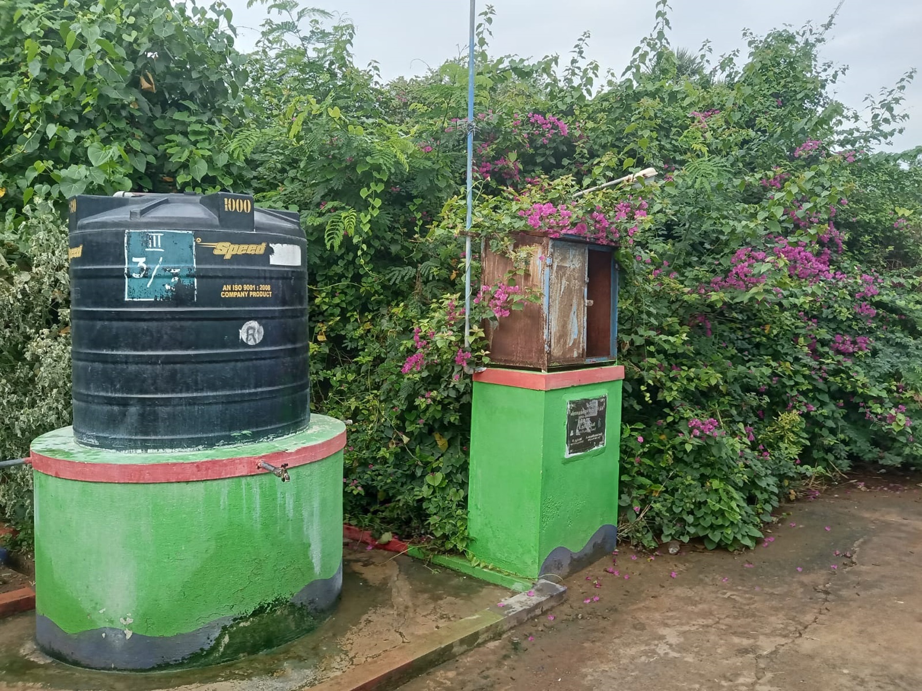 குடிநீர் தொட்டியை சூழ்ந்த புதர் செடிகள்