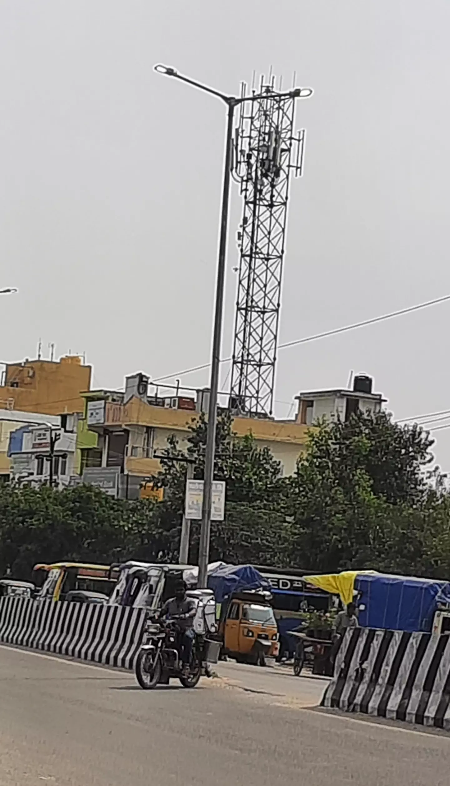 பகலில் எரியும் மின் விளக்குகள்