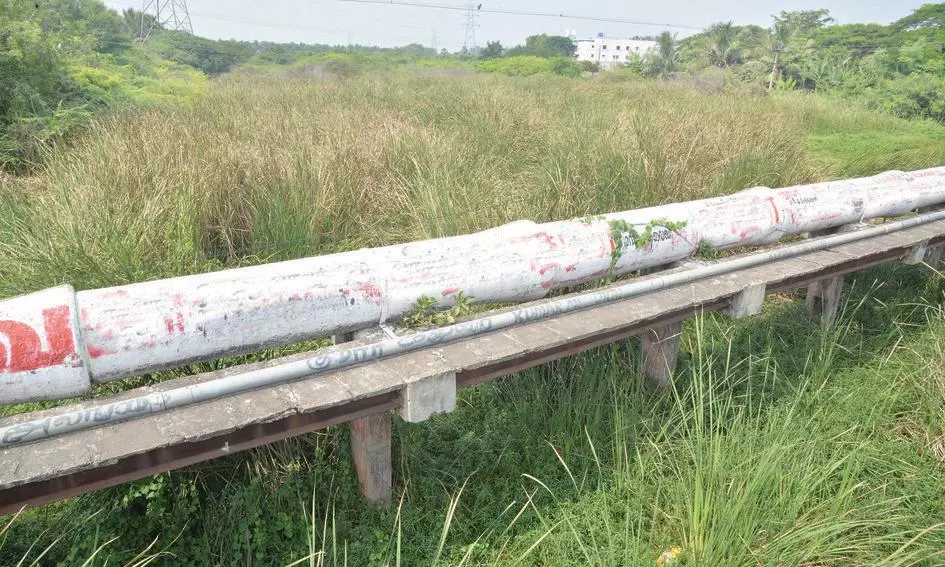 நல்லாறு செடிகளால் ஆக்கிரமிப்பு