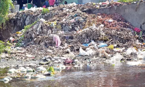 சுகாதார சீர்கேடு