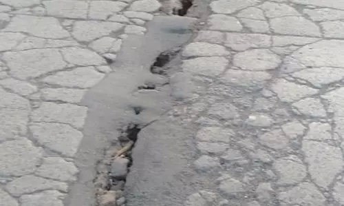 பாலத்தில் விரிசல்