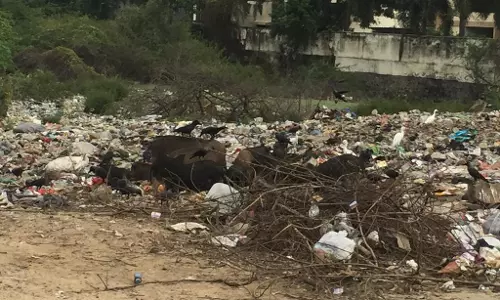 குப்பைகளும் துர்நாற்றமும்