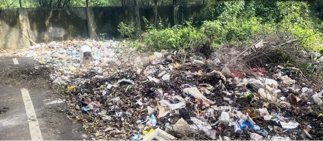 குப்பைகளால் சுகாதார சீர்கேடு