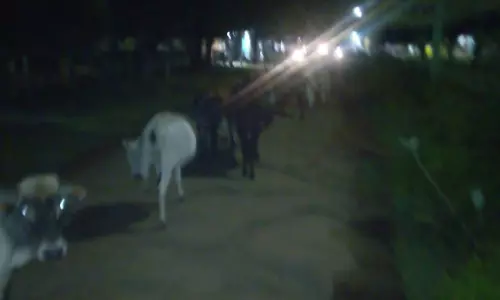 போக்குவரத்திற்கு இடையூறு போக்குவரத்திற்கு இடையூறு