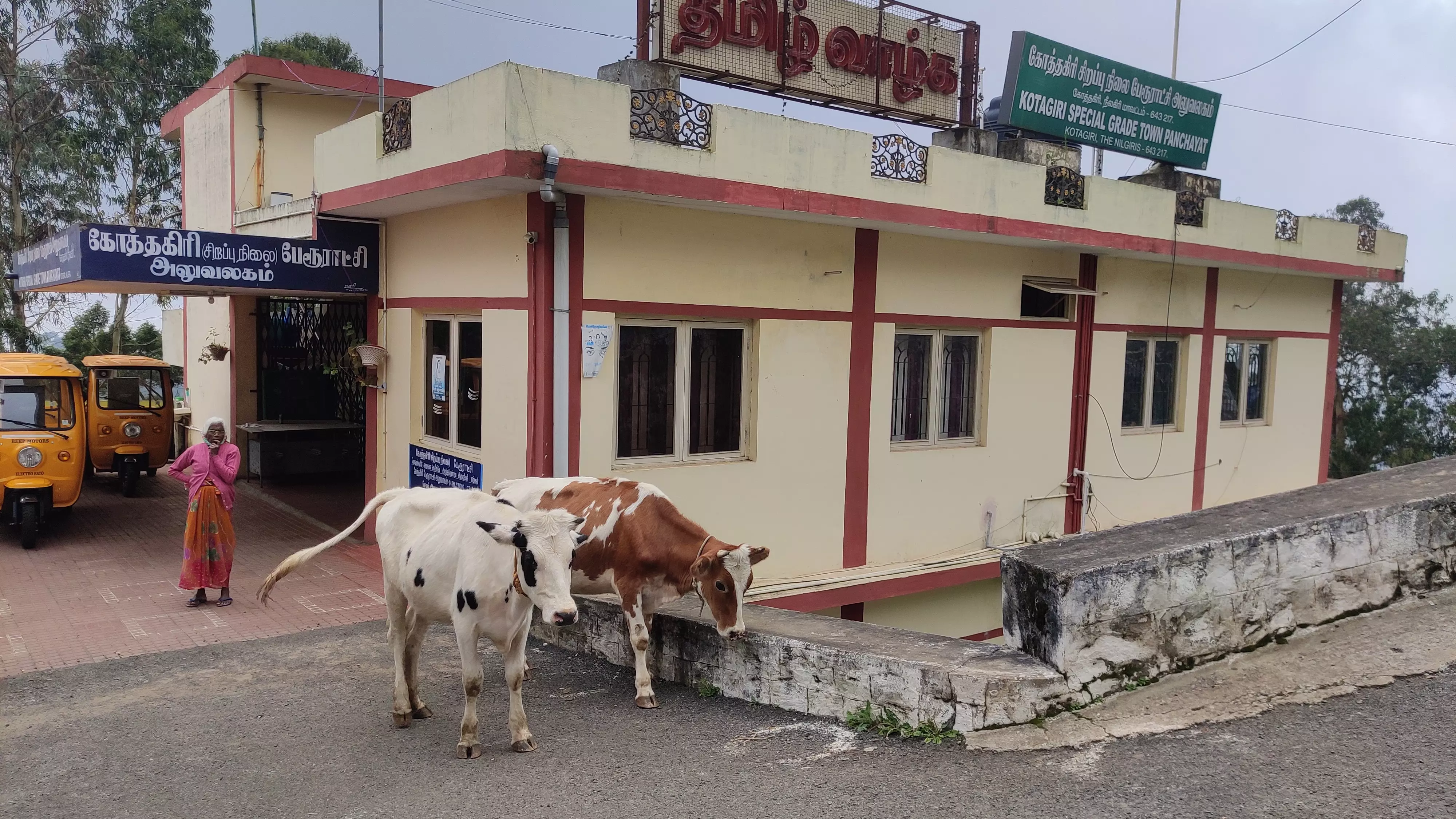 போக்குவரத்து இடையூறு
