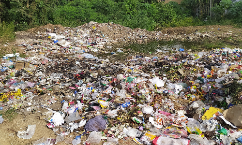 குப்பைகளை அகற்ற வேண்டும்