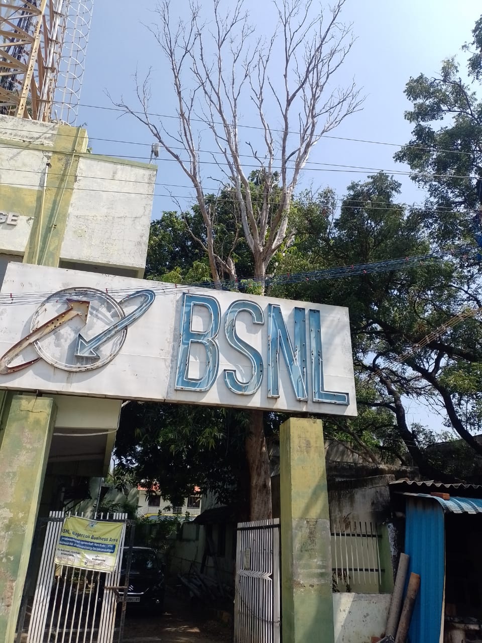 மரத்தை அகற்ற வேண்டும்