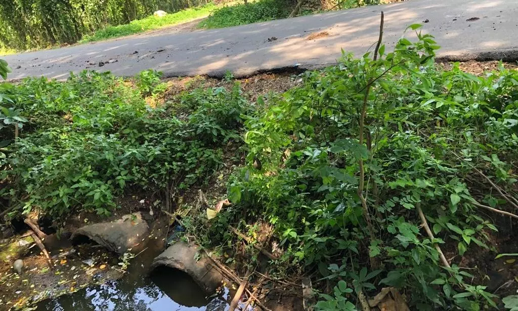 பாலத்திற்கு தடுப்பு சுவர் வேண்டும் பாலத்திற்கு தடுப்பு சுவர் வேண்டும்