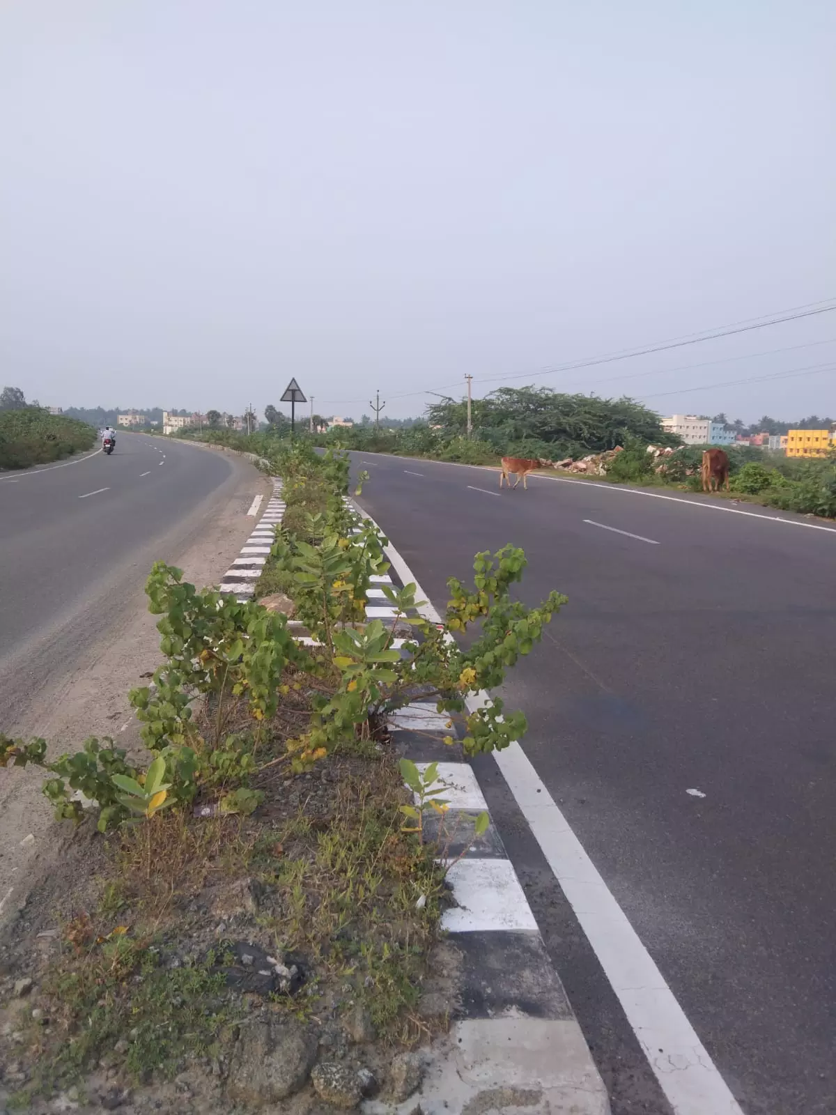 பிரச்சினை சரி செய்யப்படுமா ?