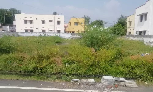 புதரை அகற்றுவார்களா? புதரை அகற்றுவார்களா?