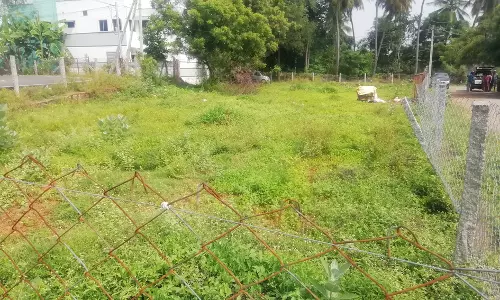 பாம்புகள் படையெடுப்பு பாம்புகள் படையெடுப்பு