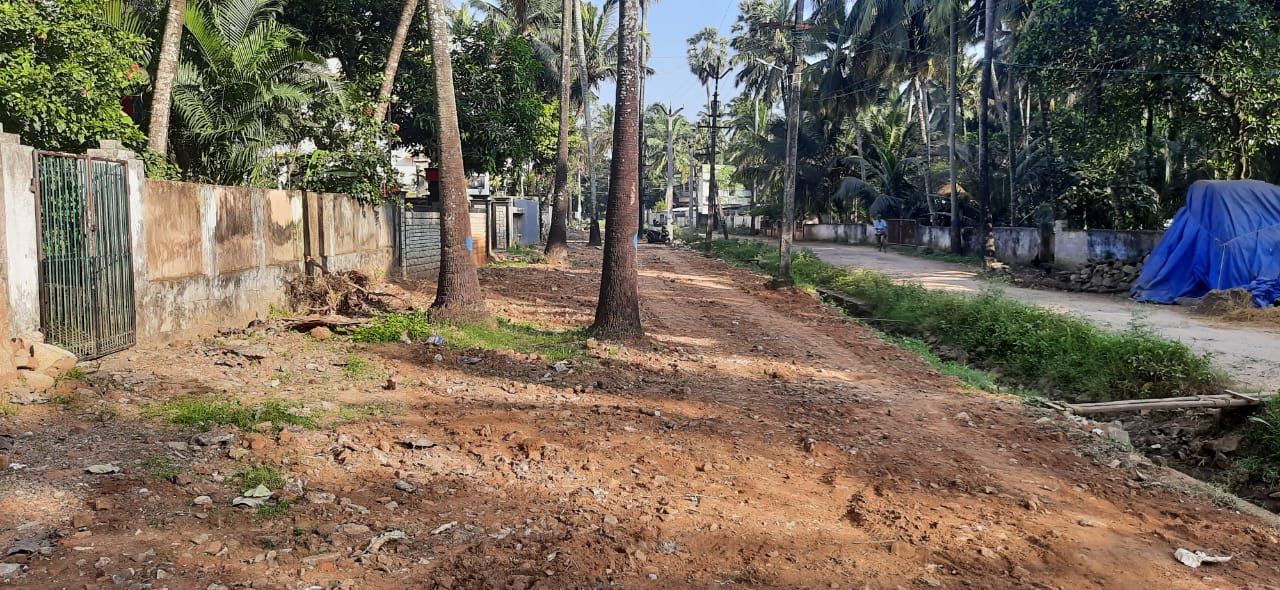 இடையூறான மரம்