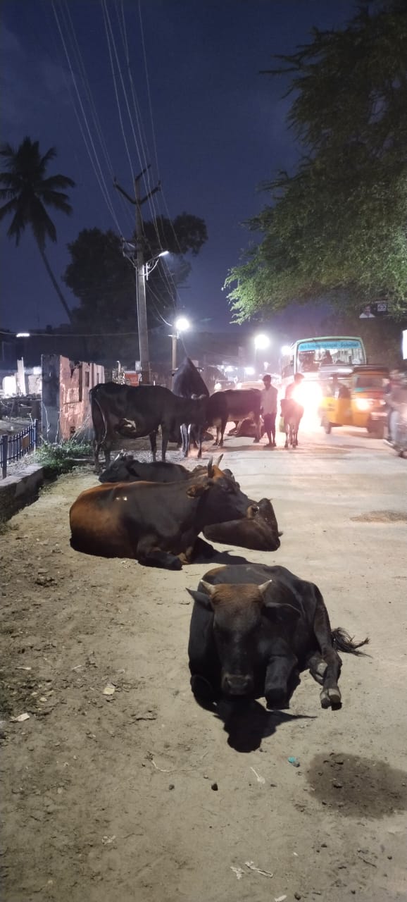 நடவடிக்ைக தேவை