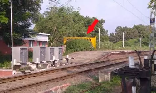 பெயர்பலகையை மூடிய செடி,கொடிகள்