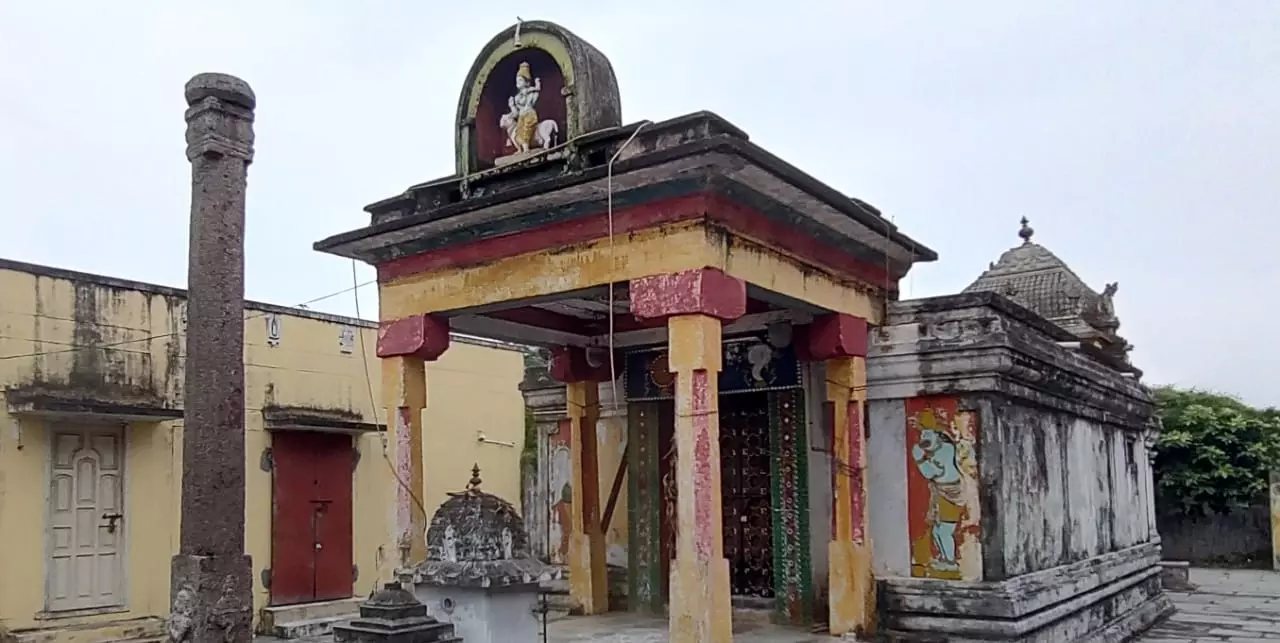 நடவடிக்கை தேவை