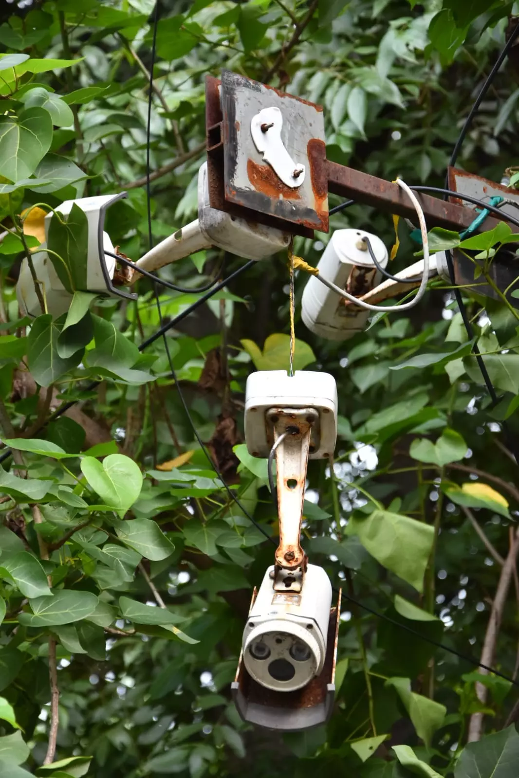 கண்காணிப்பு கேமரா சேதம்