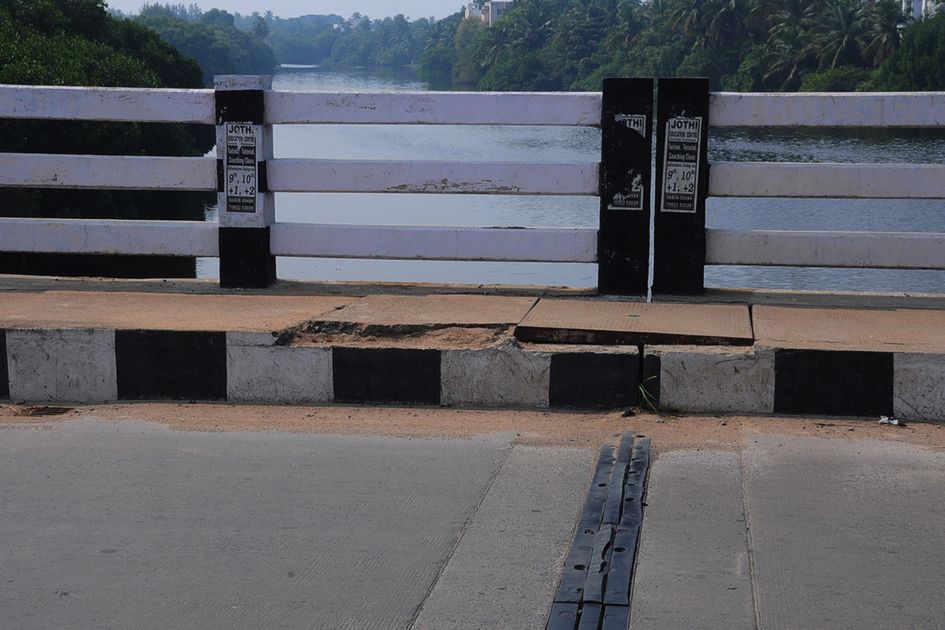 தினத்தந்திக்கு பாராட்டு தினத்தந்திக்கு பாராட்டு