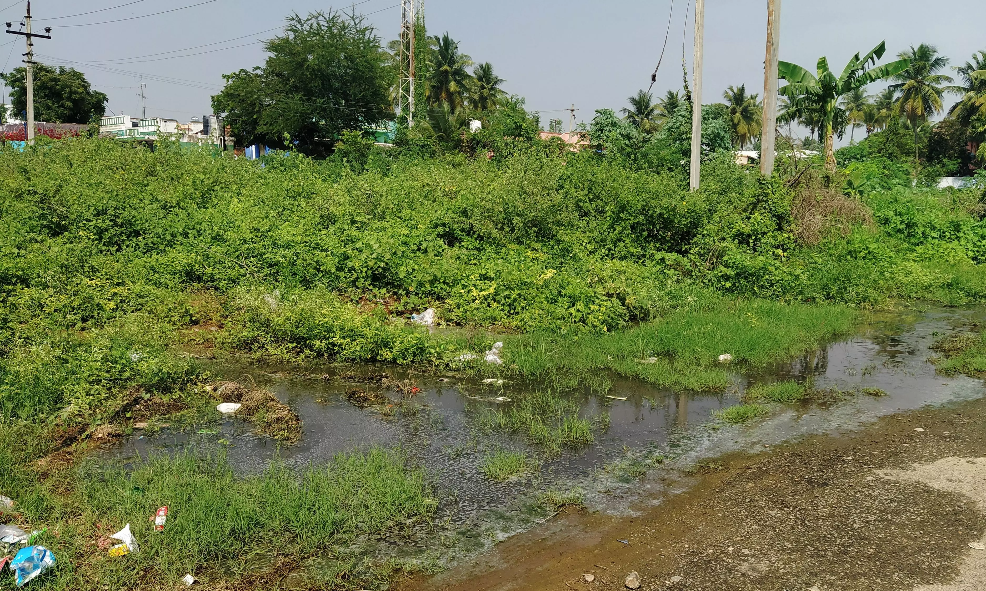 தேங்கும் கழிப்பறை தண்ணீர் தேங்கும் கழிப்பறை தண்ணீர்