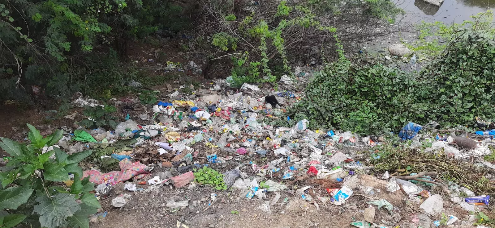 சுகாதார சீர்கேடு சுகாதார சீர்கேடு