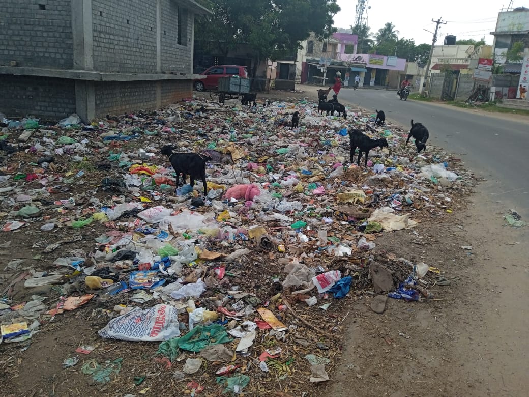 பிளாஸ்டிக் கவர்களை உண்ணும் கால்நடைகள்